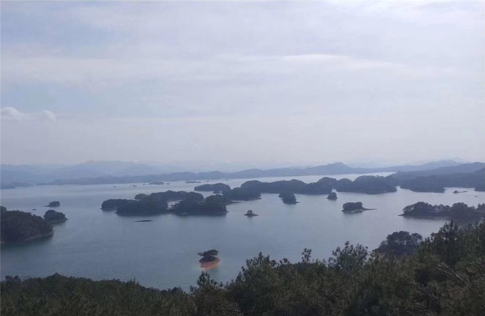 1552890467579410.jpg 131313.jpg